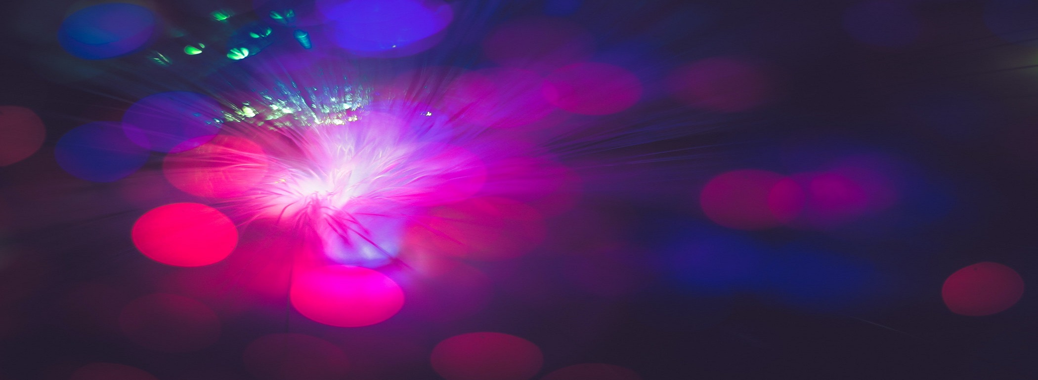 Managing Data and Cybersecurity Risks