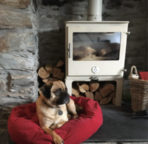 Fireplace interior design from Design Penguin.